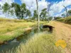 439 PHILPOTT ROAD, Philpott, Qld 4626-Image