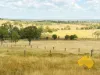 439 PHILPOTT ROAD, Philpott, Qld 4626-Image