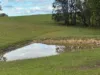 46 Jersey Place, Cobargo, NSW 2550-Image