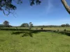 46 Jersey Place, Cobargo, NSW 2550-Image