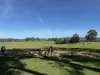 46 Jersey Place, Cobargo, NSW 2550-Image