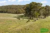 4616 Trunkey Road, Arkell, NSW 2795-Image