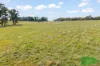 4616 Trunkey Road, Arkell, NSW 2795-Image