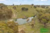 4616 Trunkey Road, Arkell, NSW 2795-Image