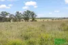 4616 Trunkey Road, Arkell, NSW 2795-Image