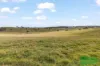 4616 Trunkey Road, Arkell, NSW 2795-Image