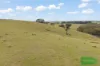 4616 Trunkey Road, Arkell, NSW 2795-Image