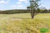 4616 Trunkey Road, Arkell, NSW 2795-Image