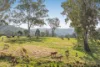 475 Eden Creek Road, Wyneden, NSW 2474-Image