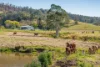 475 Eden Creek Road, Wyneden, NSW 2474-Image