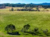 485 Avenue Road, Lavadia, NSW 2462-Image