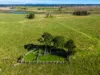 485 Avenue Road, Lavadia, NSW 2462-Image