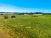 485 Avenue Road, Lavadia, NSW 2462-Image