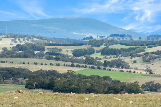 497 Sidonia Road, Sidonia, Vic 3444