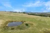 497 Sidonia Road, Sidonia, Vic 3444-Image