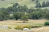 497 Sidonia Road, Sidonia, Vic 3444-Image
