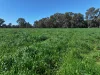 499 & 531 Kerrs Road, Milawa, Vic 3678-Image