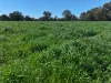 499 & 531 Kerrs Road, Milawa, Vic 3678-Image