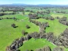 499 & 531 Kerrs Road, Milawa, Vic 3678-Image