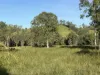 500 Exmoor Road, Bloomsbury, Qld 4799-Image