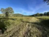 500 Exmoor Road, Bloomsbury, Qld 4799-Image