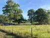 500 Exmoor Road, Bloomsbury, Qld 4799-Image