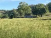 500 Exmoor Road, Bloomsbury, Qld 4799-Image