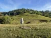 500 Exmoor Road, Bloomsbury, Qld 4799-Image