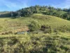 500 Exmoor Road, Bloomsbury, Qld 4799-Image