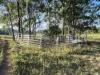500 Exmoor Road, Bloomsbury, Qld 4799-Image