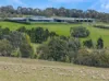 504 Sidonia Road, Sidonia, Vic 3444-Image