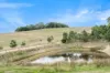 504 Sidonia Road, Sidonia, Vic 3444-Image