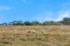 504 Sidonia Road, Sidonia, Vic 3444-Image