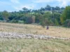 504 Sidonia Road, Sidonia, Vic 3444-Image