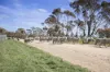504 Sidonia Road, Sidonia, Vic 3444-Image