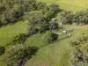 510 Promisedland Road, Promisedland, Qld 4660-Image