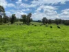 511 Nunans Hill Road, Hazelgrove, NSW 2787-Image