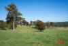 511 Nunans Hill Road, Hazelgrove, NSW 2787-Image