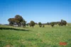 511 Nunans Hill Road, Hazelgrove, NSW 2787-Image