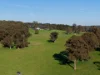 511 Nunans Hill Road, Hazelgrove, NSW 2787-Image