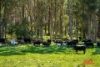 511 Nunans Hill Road, Hazelgrove, NSW 2787-Image