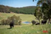 511 Nunans Hill Road, Hazelgrove, NSW 2787-Image