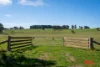 511 Nunans Hill Road, Hazelgrove, NSW 2787-Image