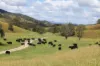 5361 Armidale Road, Kempsey, NSW 2440-Image