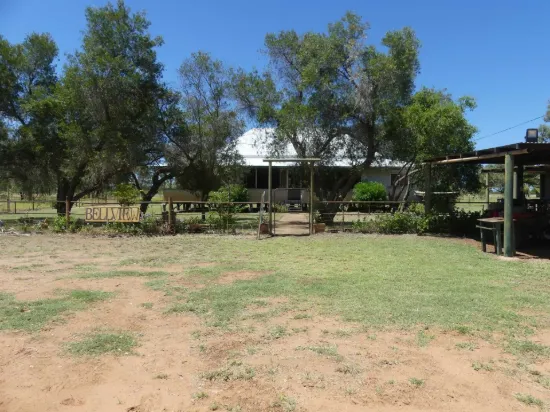 5388 Narbethong Road, Barcaldine QLD 4725-Image