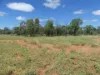 5388 Narbethong Road, Barcaldine QLD 4725-Image