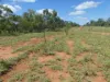 5388 Narbethong Road, Barcaldine QLD 4725-Image