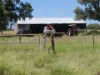 5388 Narbethong Road, Barcaldine QLD 4725-Image