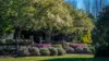 551 Maroondah Highway, Narbethong, Vic 3778-Image