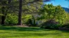 551 Maroondah Highway, Narbethong, Vic 3778-Image